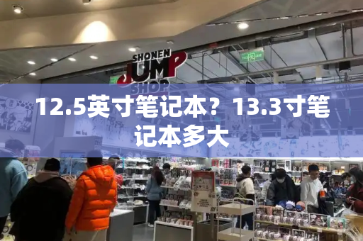 12.5英寸笔记本？13.3寸笔记本多大