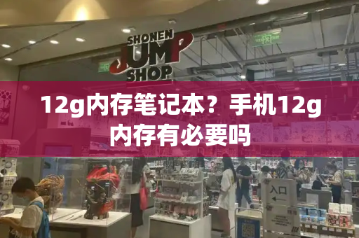 12g内存笔记本？手机12g内存有必要吗