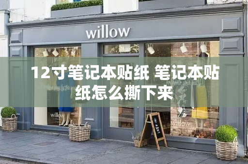 12寸笔记本贴纸 笔记本贴纸怎么撕下来-第1张图片-星选测评