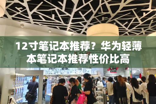 12寸笔记本推荐？华为轻薄本笔记本推荐性价比高-第1张图片-星选测评