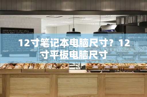 12寸笔记本电脑尺寸？12寸平板电脑尺寸