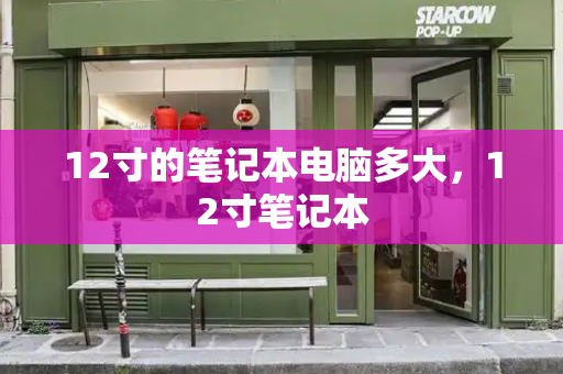 12寸的笔记本电脑多大，12寸笔记本-第1张图片-星选测评