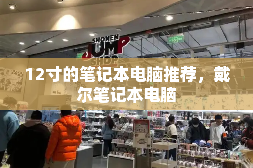 12寸的笔记本电脑推荐，戴尔笔记本电脑-第1张图片-星选测评