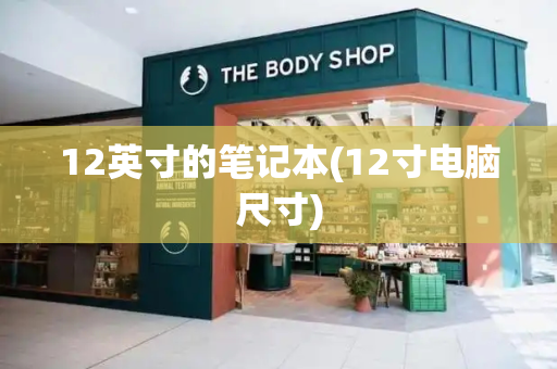 12英寸的笔记本(12寸电脑尺寸)-第1张图片-星选测评