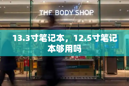 13.3寸笔记本，12.5寸笔记本够用吗