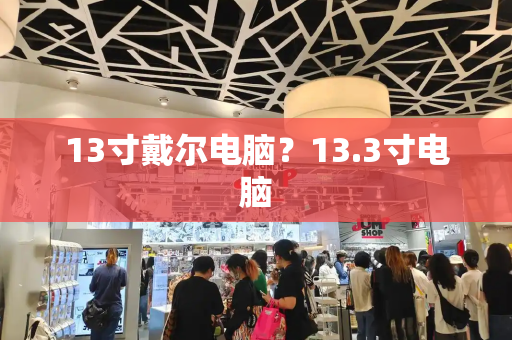 13寸戴尔电脑？13.3寸电脑-第1张图片-星选测评