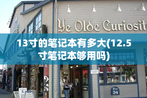 13寸的笔记本有多大(12.5寸笔记本够用吗)