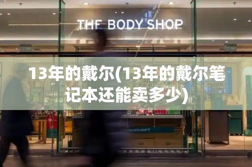 13年的戴尔(13年的戴尔笔记本还能卖多少)-第1张图片-星选测评
