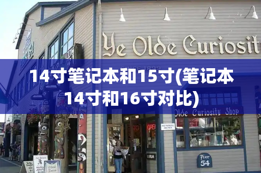 14寸笔记本和15寸(笔记本14寸和16寸对比)-第1张图片-星选测评