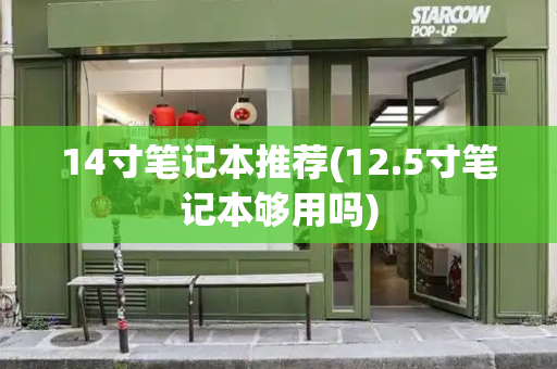 14寸笔记本推荐(12.5寸笔记本够用吗)