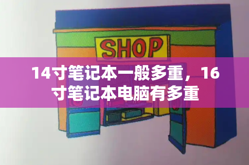 14寸笔记本一般多重，16寸笔记本电脑有多重-第1张图片-星选测评