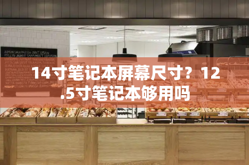 14寸笔记本屏幕尺寸？12.5寸笔记本够用吗
