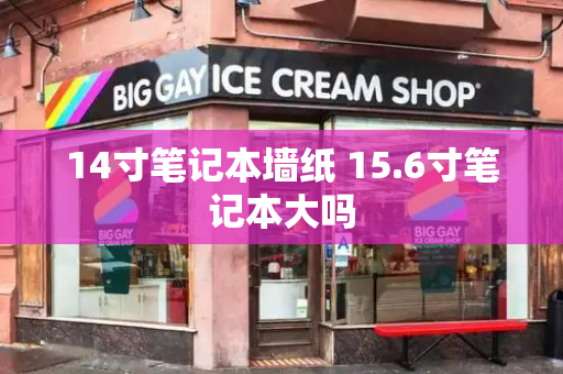 14寸笔记本墙纸 15.6寸笔记本大吗