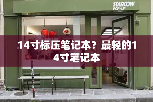 14寸标压笔记本？最轻的14寸笔记本-第1张图片-星选测评