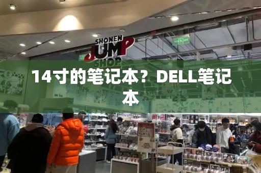 14寸的笔记本？DELL笔记本-第1张图片-星选测评
