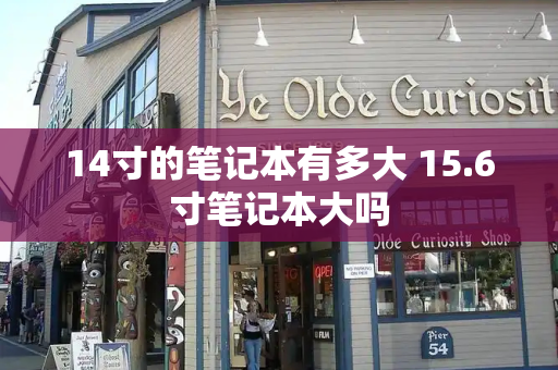 14寸的笔记本有多大 15.6寸笔记本大吗-第1张图片-星选测评