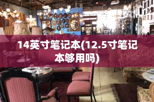 14英寸笔记本(12.5寸笔记本够用吗)