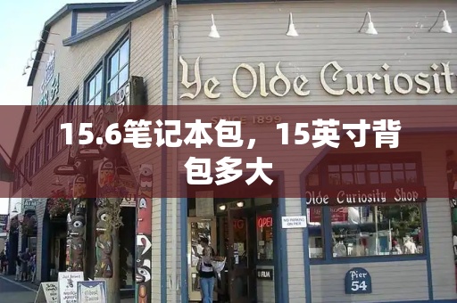 15.6笔记本包，15英寸背包多大