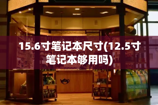 15.6寸笔记本尺寸(12.5寸笔记本够用吗)
