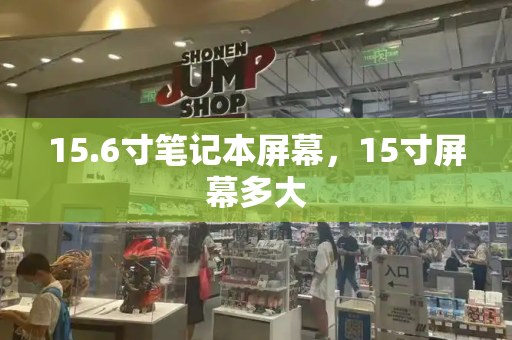 15.6寸笔记本屏幕，15寸屏幕多大-第1张图片-星选测评