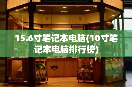 15.6寸笔记本电脑(10寸笔记本电脑排行榜)