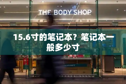 15.6寸的笔记本？笔记本一般多少寸