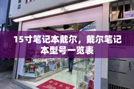 15寸笔记本戴尔，戴尔笔记本型号一览表-第1张图片-星选测评