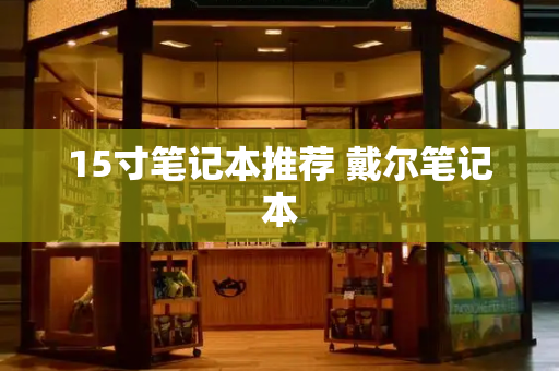 15寸笔记本推荐 戴尔笔记本-第1张图片-星选测评