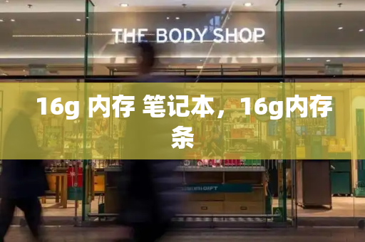 16g 内存 笔记本，16g内存条-第1张图片-星选测评