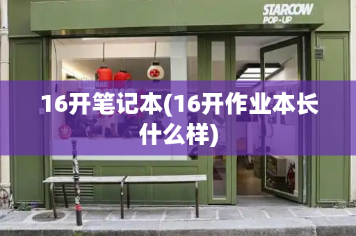 16开笔记本(16开作业本长什么样)-第1张图片-星选测评