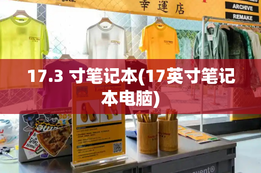 17.3 寸笔记本(17英寸笔记本电脑)-第1张图片-星选测评