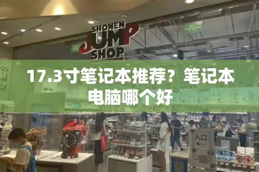 17.3寸笔记本推荐？笔记本电脑哪个好