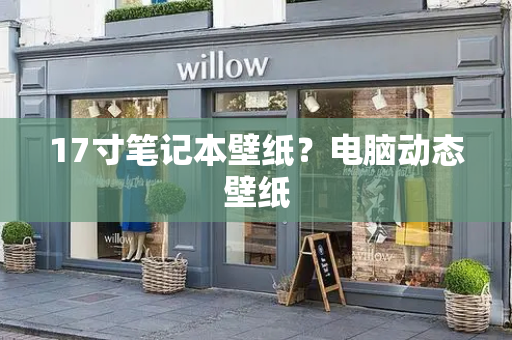 17寸笔记本壁纸？电脑动态壁纸