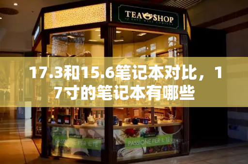 17.3和15.6笔记本对比，17寸的笔记本有哪些-第1张图片-星选测评