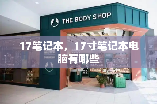 17笔记本，17寸笔记本电脑有哪些