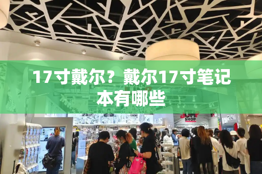 17寸戴尔？戴尔17寸笔记本有哪些-第1张图片-星选测评