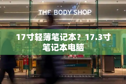17寸轻薄笔记本？17.3寸笔记本电脑-第1张图片-星选测评