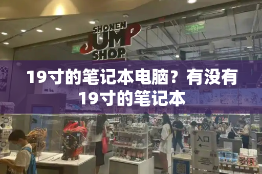 19寸的笔记本电脑？有没有19寸的笔记本