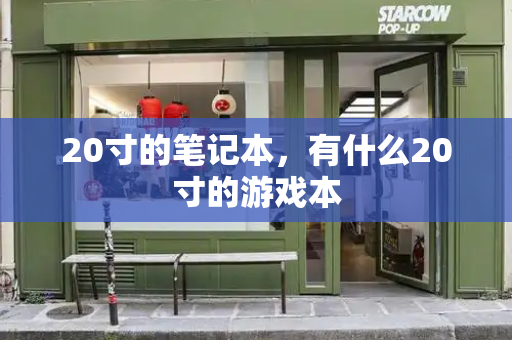 20寸的笔记本，有什么20寸的游戏本-第1张图片-星选测评