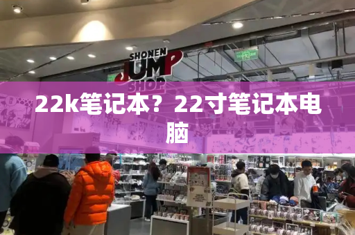 22k笔记本？22寸笔记本电脑-第1张图片-星选测评