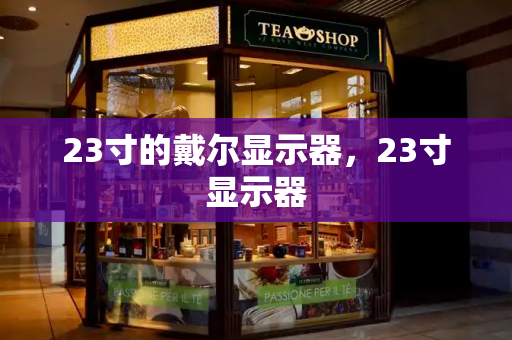 23寸的戴尔显示器，23寸显示器-第1张图片-星选测评
