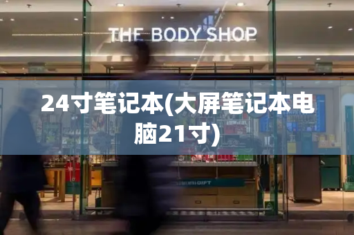 24寸笔记本(大屏笔记本电脑21寸)-第1张图片-星选测评
