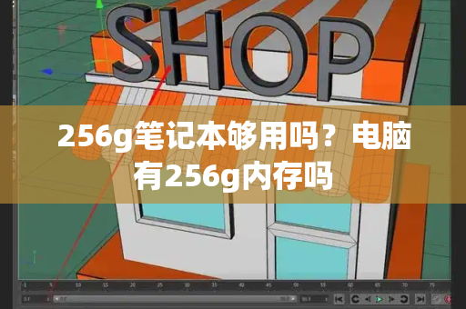 256g笔记本够用吗？电脑有256g内存吗