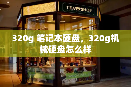 320g 笔记本硬盘，320g机械硬盘怎么样