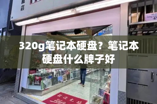 320g笔记本硬盘？笔记本硬盘什么牌子好