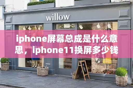 iphone屏幕总成是什么意思，iphone11换屏多少钱