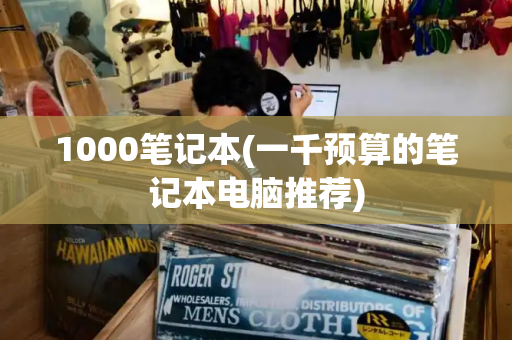 1000笔记本(一千预算的笔记本电脑推荐)