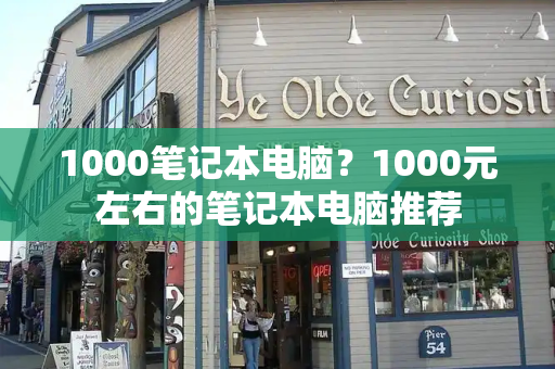 1000笔记本电脑？1000元左右的笔记本电脑推荐-第1张图片-星选测评