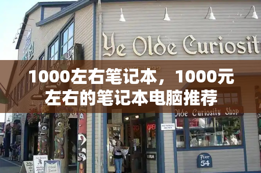 1000左右笔记本，1000元左右的笔记本电脑推荐-第1张图片-星选测评