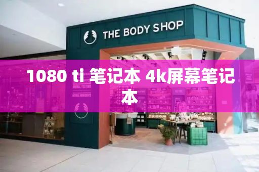 1080 ti 笔记本 4k屏幕笔记本